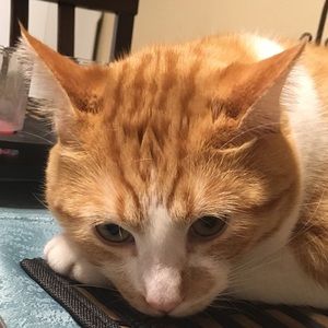 Meet your Posher, Christian